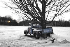 truck + tree