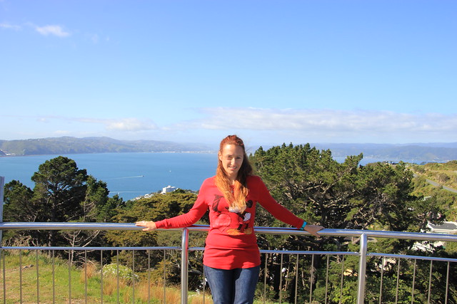 Día 11 - 10/10/15: Wellington: Mt. Victoria, Museo Te Papa y Cable Car - Nueva Zelanda, Aotearoa: El viaje de mi vida por la Tierra Media (38)