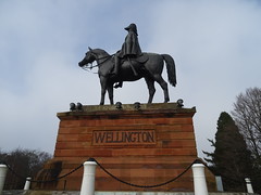 The Duke of Wellington 