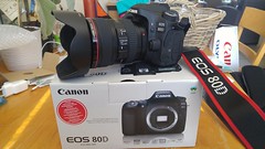 Test: Canon EOS 80D