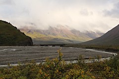 Denali N.P., Alaska