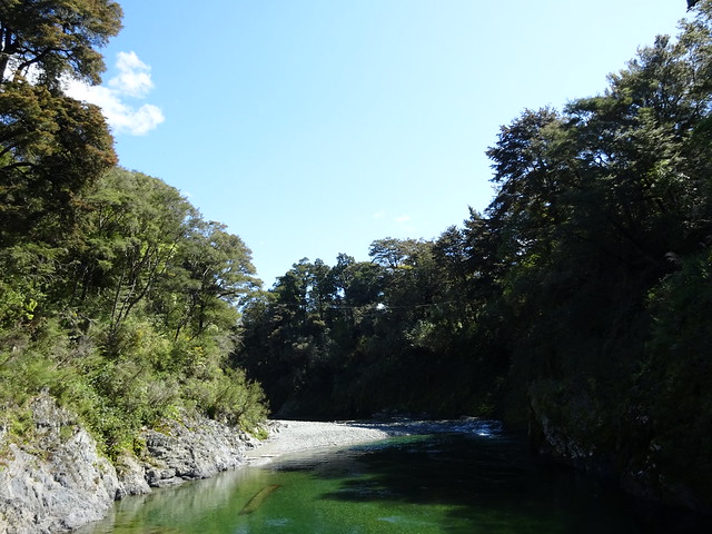 Día 13 - 12/10/15: Nelson, Ringmaker, Kayak en Pelorus River y Blenheim - Nueva Zelanda, Aotearoa: El viaje de mi vida por la Tierra Media (45)