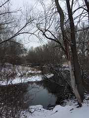 January 16, 2015 (Provo River Trail)