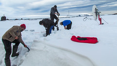 Kierownik Adam, Leszek, Sdam i Czarek kopią rów w śniegu pod kabel zasilający do anteny