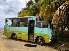 Cuban Buses