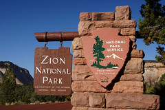 USA 2011 Zion Nationalpark