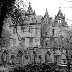 Kloster-Ruine & Hirsau im Regen