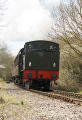 Bluebell Wood and Nene Valley Railway