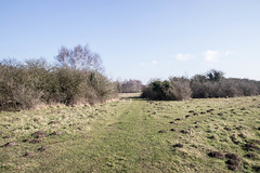 Foulden Common