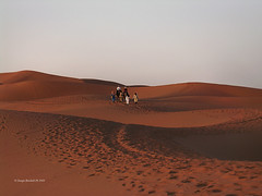 Marocco - La Terra del Sole