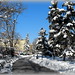 Winter in Sofia
