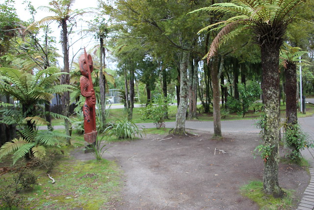 Día 4 - 3/10/15 - Rotorua: Wai - O - Tapu, Te Puia y Waitomo Caves - Nueva Zelanda, Aotearoa: El viaje de mi vida por la Tierra Media (22)