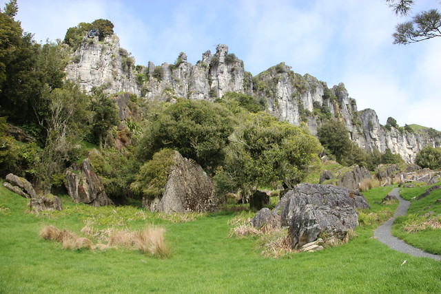 Nueva Zelanda, Aotearoa: El viaje de mi vida por la Tierra Media - Blogs de Nueva Zelanda - Día 8 - 7/10/15 - Piopio y Tongariro National Park (12)