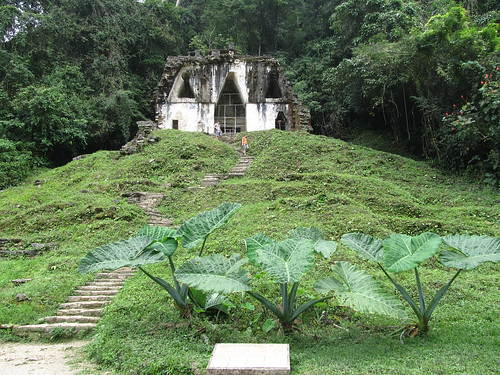 Palenque: le Templo de la Cruz Foliada