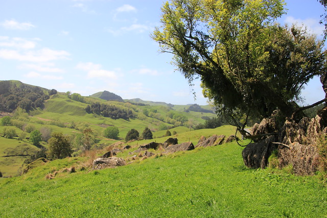 Nueva Zelanda, Aotearoa: El viaje de mi vida por la Tierra Media - Blogs de Nueva Zelanda - Día 8 - 7/10/15 - Piopio y Tongariro National Park (45)