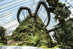 Cloud Forest & Flower Dome