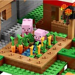 LEGO Minecraft 21128 The Village 10
