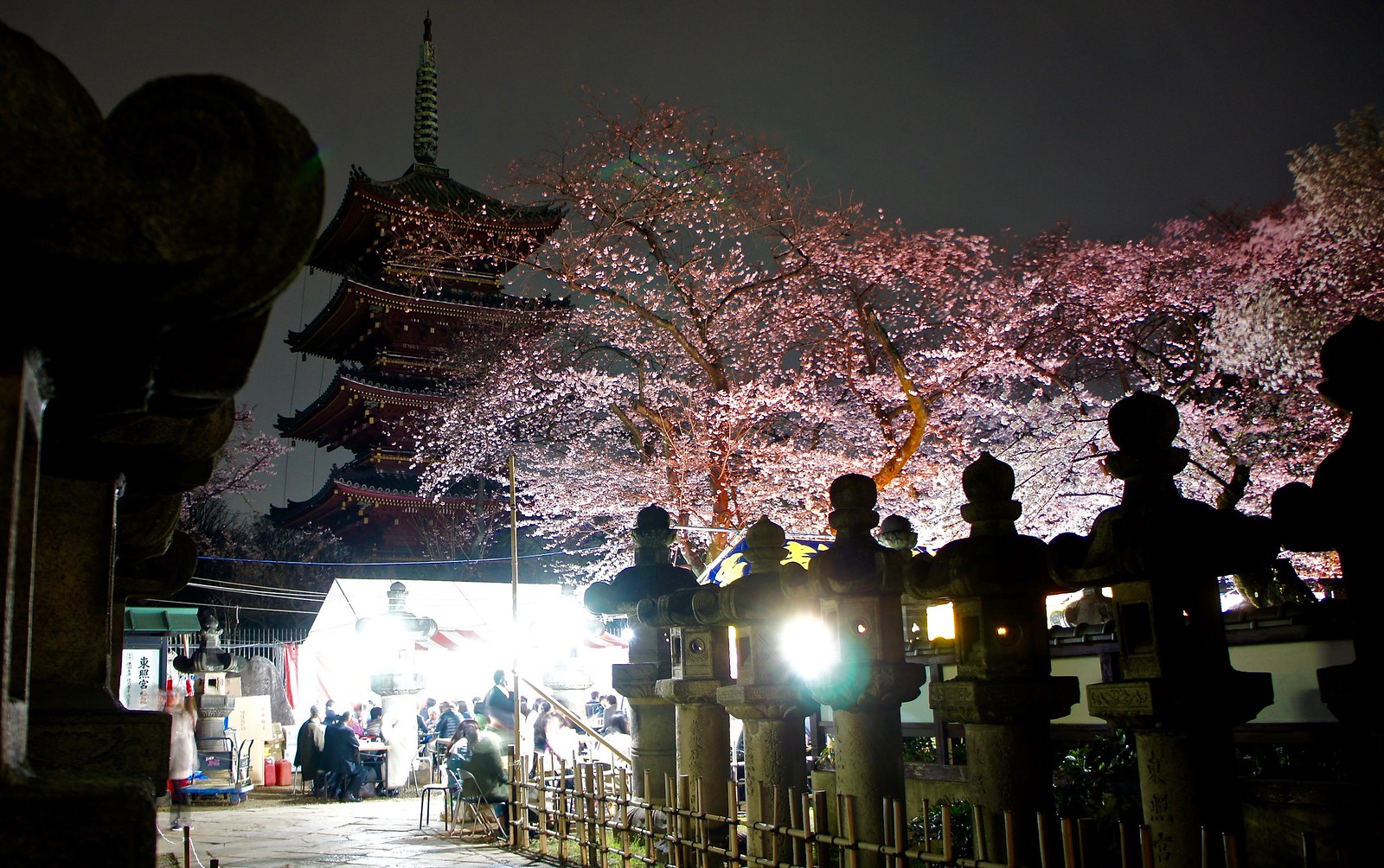 Ueno Park Sakura Illumination