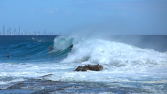 SNAPPER ROCKS,  BIG SURF