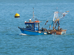 Solent Fishing Boats