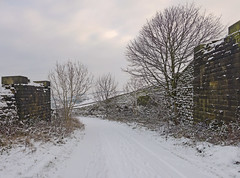 Snow in Queensbury January 2016