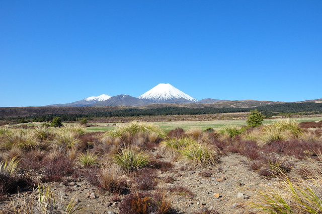 Nueva Zelanda, Aotearoa: El viaje de mi vida por la Tierra Media - Blogs de Nueva Zelanda - Día 8 - 7/10/15 - Piopio y Tongariro National Park (54)