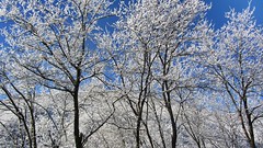 Inverno - Winter