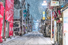Tokyo Snow - January 2016