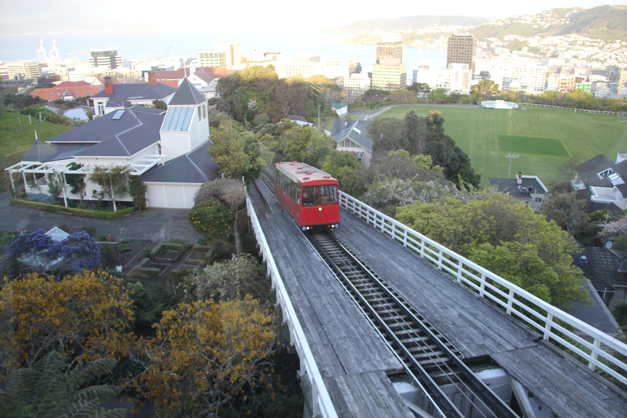 Día 11 - 10/10/15: Wellington: Mt. Victoria, Museo Te Papa y Cable Car - Nueva Zelanda, Aotearoa: El viaje de mi vida por la Tierra Media (90)