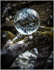 World Through Glass Ball