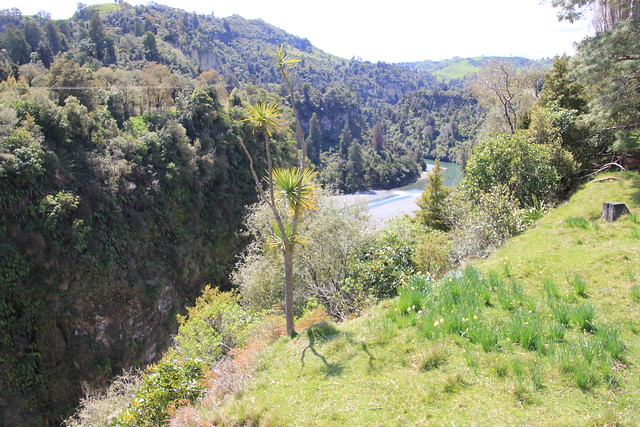 Nueva Zelanda, Aotearoa: El viaje de mi vida por la Tierra Media - Blogs de Nueva Zelanda - Día 9 - 8/10/15 - Tongariro National Park, Mangawhero Falls y Gravity Canyon (31)