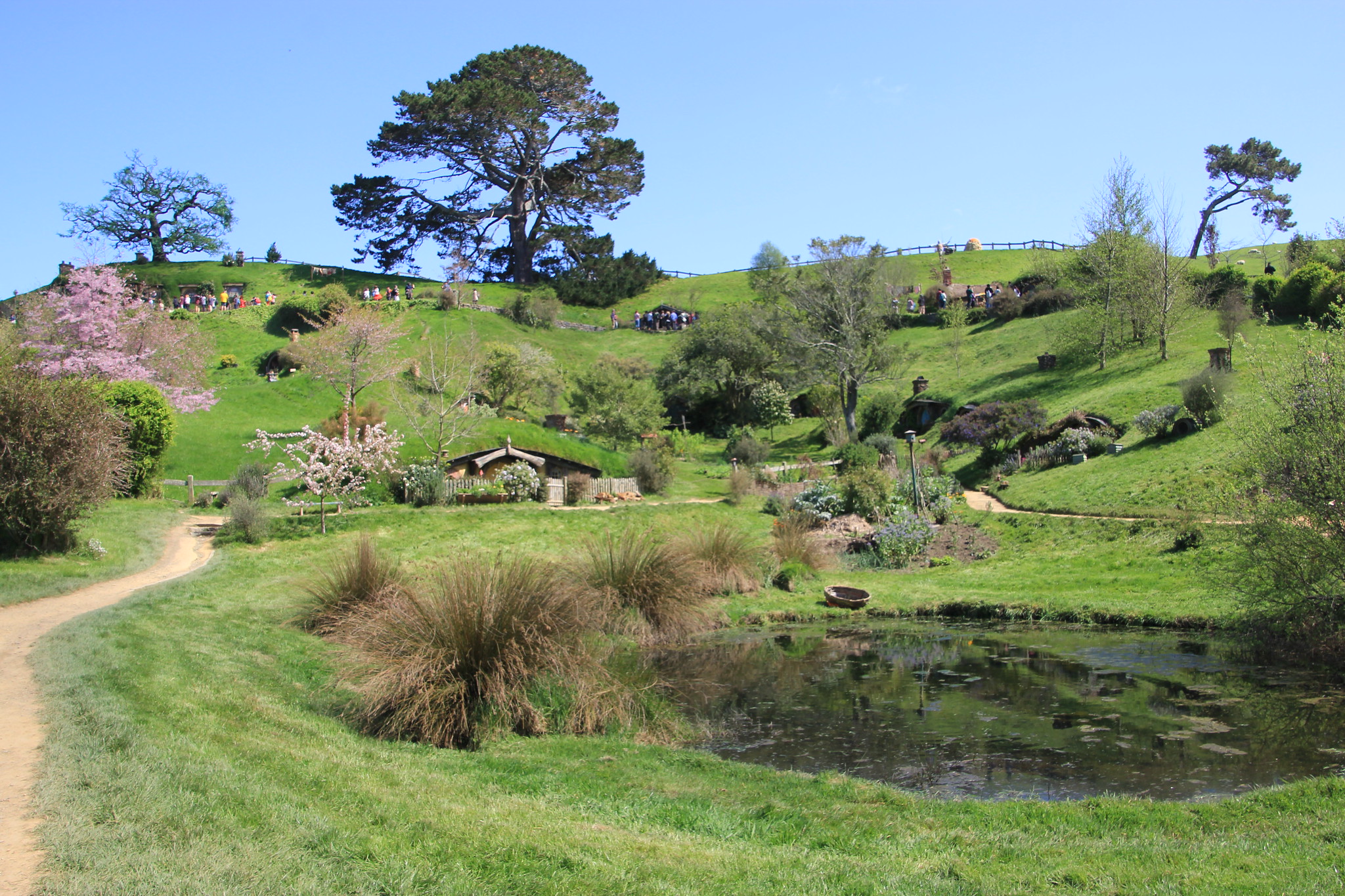 Nueva Zelanda, Aotearoa: El viaje de mi vida por la Tierra Media - Blogs de Nueva Zelanda - Día 7 - 6/10/15 - Hobbiton, Rotorua, Mitai Maori Village y Rainbow Springs (18)