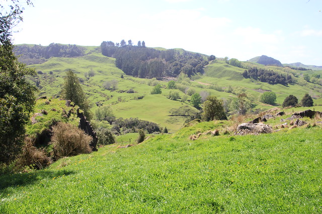 Nueva Zelanda, Aotearoa: El viaje de mi vida por la Tierra Media - Blogs de Nueva Zelanda - Día 8 - 7/10/15 - Piopio y Tongariro National Park (46)