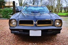 the 50th Anniversary Limited Edition 1976 Trans Am