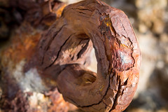 Sea Ranch: Rusted Bolt