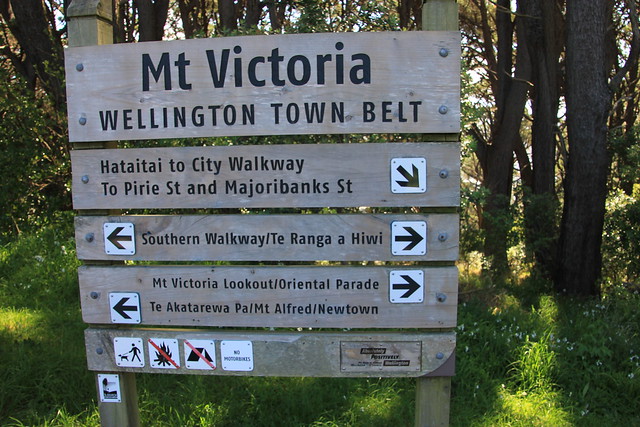 Día 11 - 10/10/15: Wellington: Mt. Victoria, Museo Te Papa y Cable Car - Nueva Zelanda, Aotearoa: El viaje de mi vida por la Tierra Media (21)