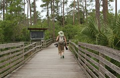 Corkscrew Swamp Sanctuary & Blair Audubon Center