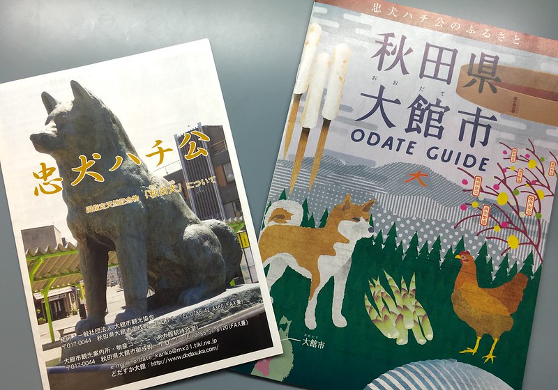 Hachiko relocation to Odate City?