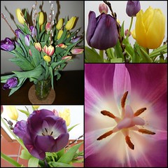 Tulip Bouquet Mar.'16