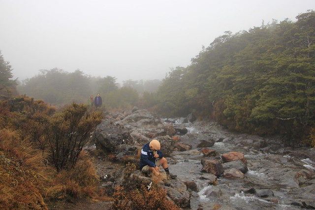Nueva Zelanda, Aotearoa: El viaje de mi vida por la Tierra Media - Blogs de Nueva Zelanda - Día 9 - 8/10/15 - Tongariro National Park, Mangawhero Falls y Gravity Canyon (18)