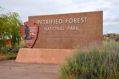 National Park- Petrified Forest 