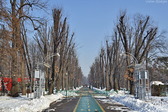 Herăstrău Park (January 2016)