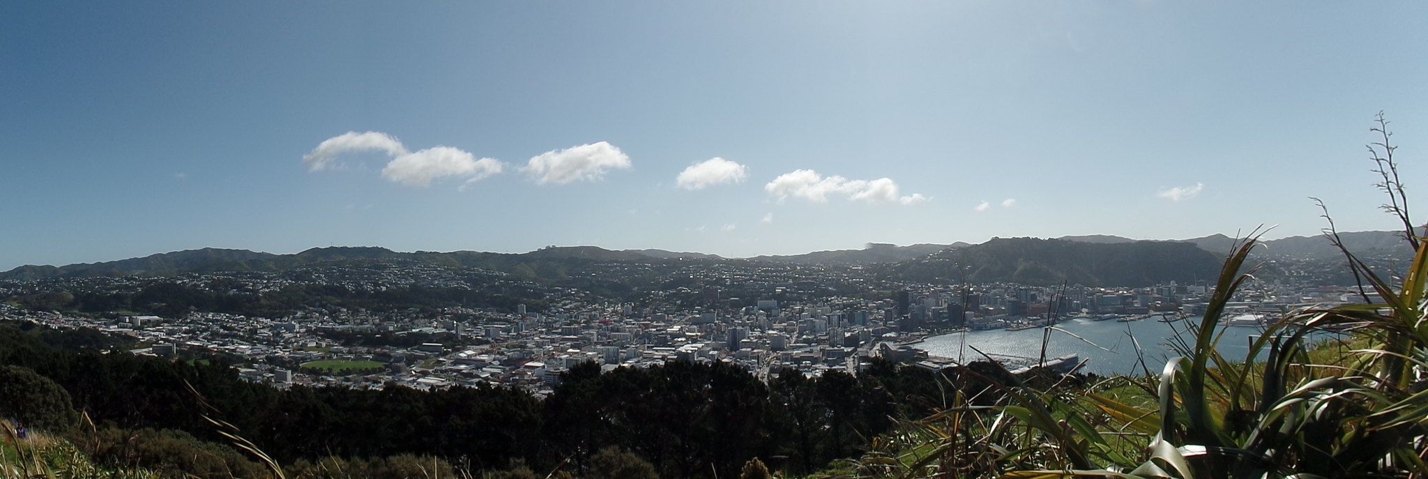 Día 11 - 10/10/15: Wellington: Mt. Victoria, Museo Te Papa y Cable Car - Nueva Zelanda, Aotearoa: El viaje de mi vida por la Tierra Media (41)