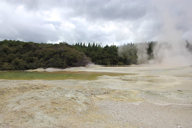Día 4 - 3/10/15 - Rotorua: Wai - O - Tapu, Te Puia y Waitomo Caves - Nueva Zelanda, Aotearoa: El viaje de mi vida por la Tierra Media (16)