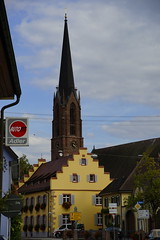 Kaiserstuhl/Eichstetten