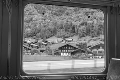 Grindelwald 2015 (Suiza / Switzerland)