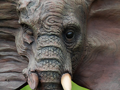 "The Elder" Elephant Sculpture - Disappearing World