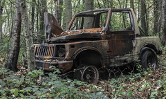Abandoned Suzuki in the Woods