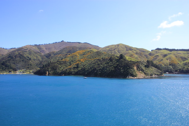 Día 12 - 11/10/15: Ferry Interislander, Helicoptero Mt Sunday y Mt Owen y Nelson - Nueva Zelanda, Aotearoa: El viaje de mi vida por la Tierra Media (10)
