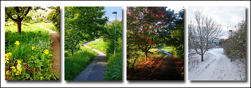 One Path, Four Seasons